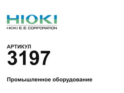 3197 Hioki