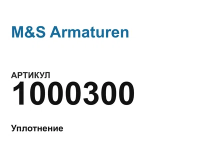1000300 M&S Armaturen