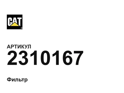 2310167 CAT