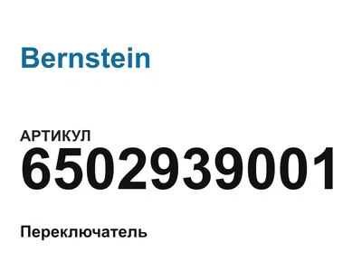 6502939001 Bernstein