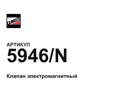 5946N Camozzi