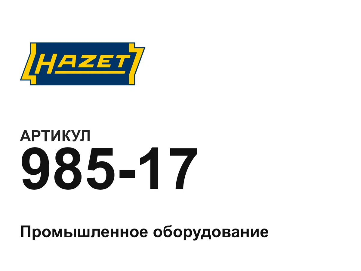 98517 HAZET