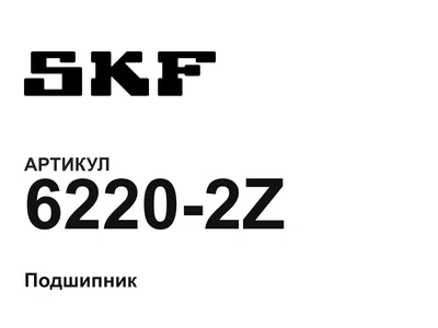 62202Z SKF