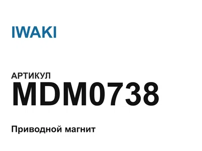 MDM0738 IWAKI