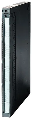 6ES7422-1BH11-0AA0 Siemens