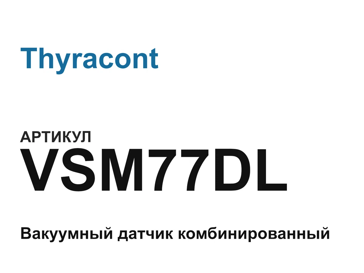 VSM77DL Thyracont