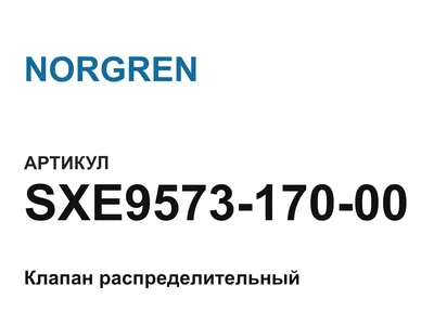 SXE957317000 NORGREN
