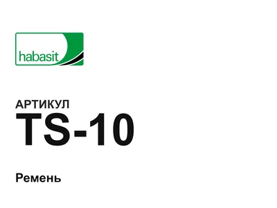 TS10 Habasit