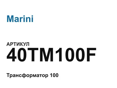 40TM100F Marini