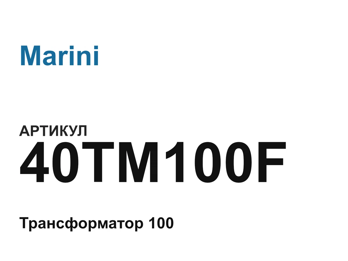 40TM100F Marini