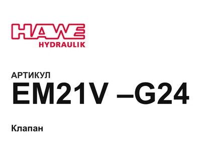EM21VG24 Hawe
