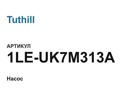 1LEUK7M313A Tuthill