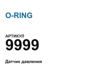 9999 O-RING
