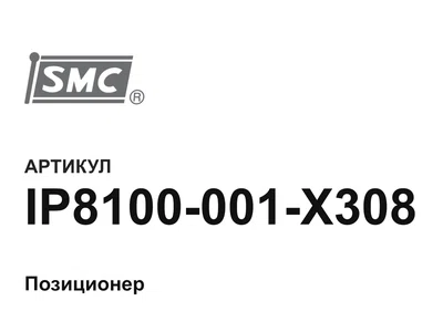 IP8100001X308 SMC