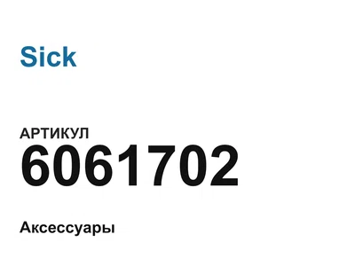 6061702 Sick