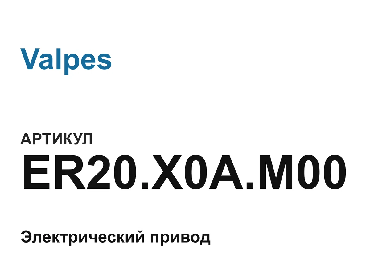 ER20X0AM00 Valpes