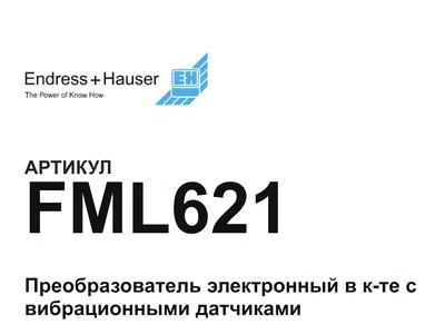 FML621 Endress+Hauser