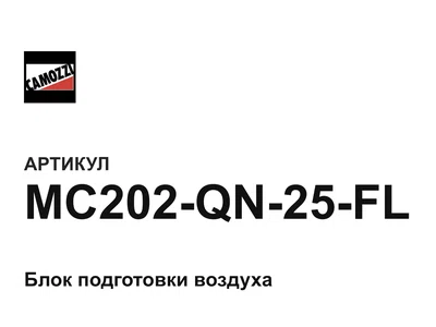 MC202QN25FL Camozzi