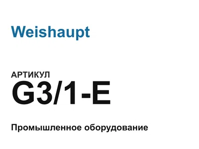 G31E Weishaupt
