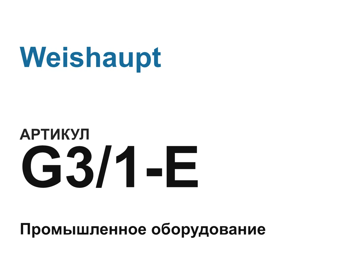 G31E Weishaupt