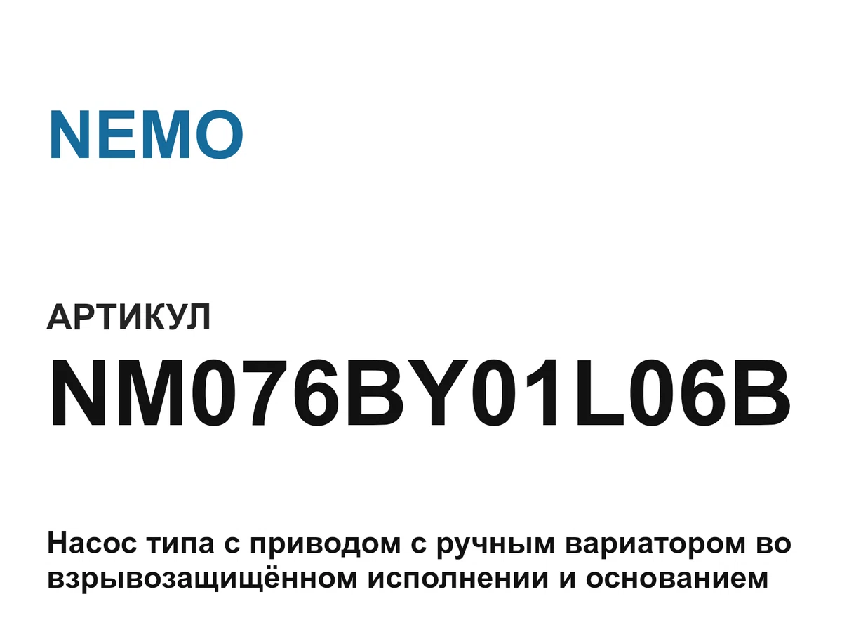 NM076BY01L06B NEMO