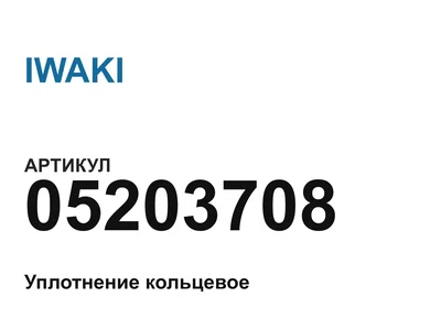 05203708 IWAKI