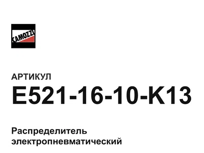 E5211610K13 Camozzi