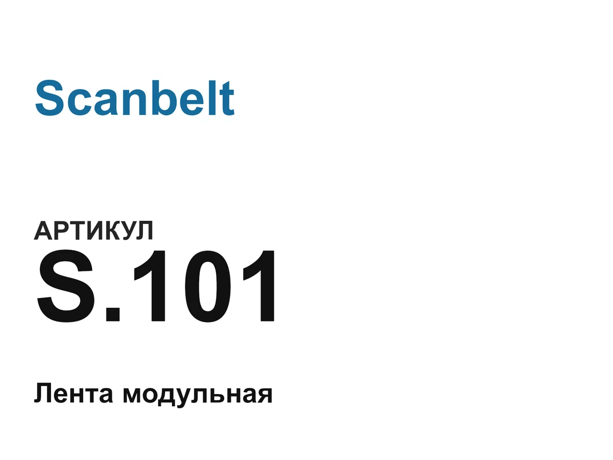 S101 Scanbelt