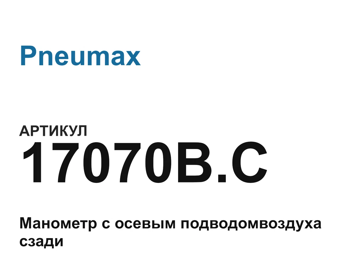 17070BC Pneumax