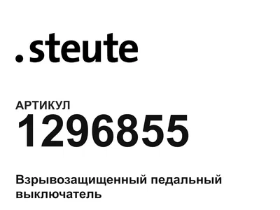 1296855 STEUTE