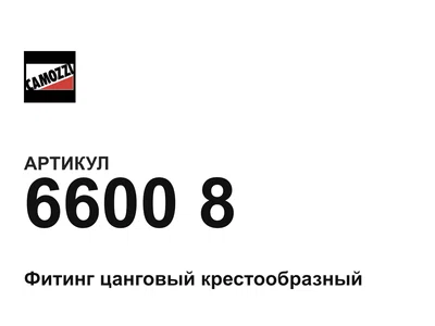 66008 Camozzi