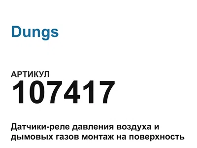 107417 Dungs