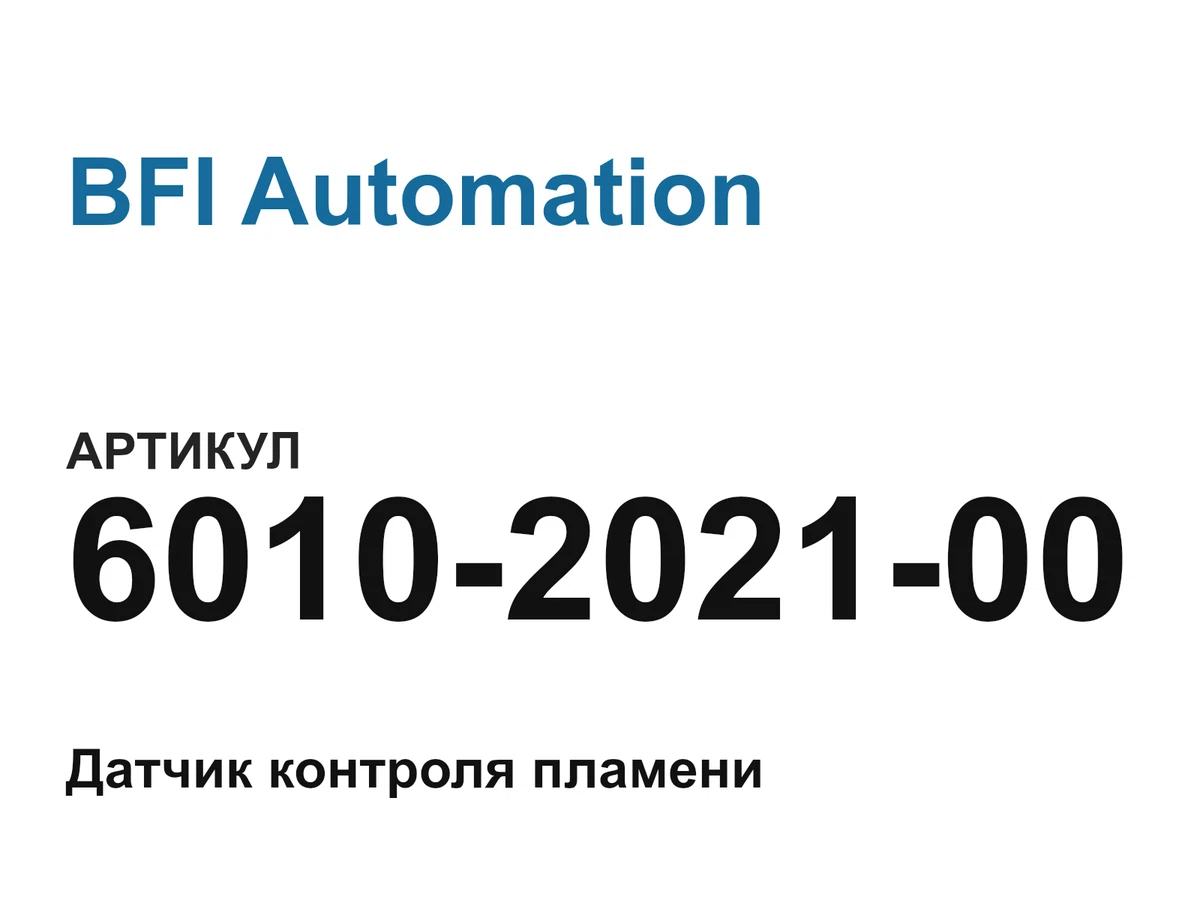6010202100 BFI Automation