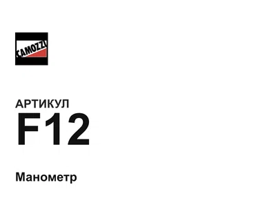 F12 Camozzi