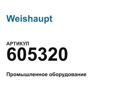 605320 Weishaupt