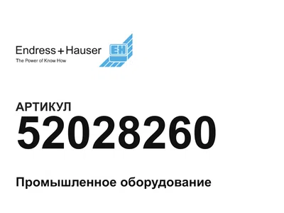 52028260 Endress+Hauser