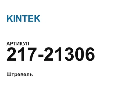 21721306 KINTEK