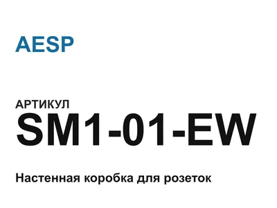 SM101EW AESP