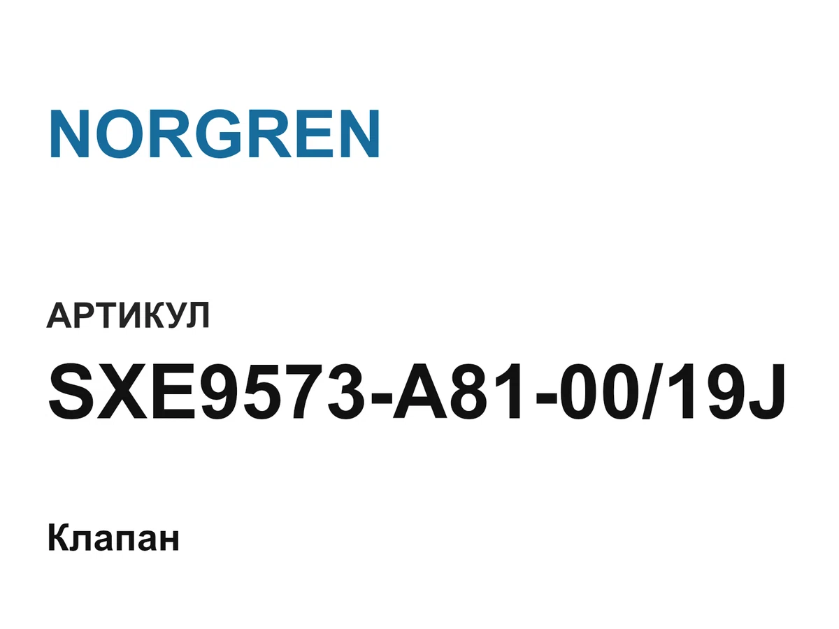SXE9573A810019J NORGREN