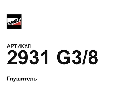 2931G38 Camozzi