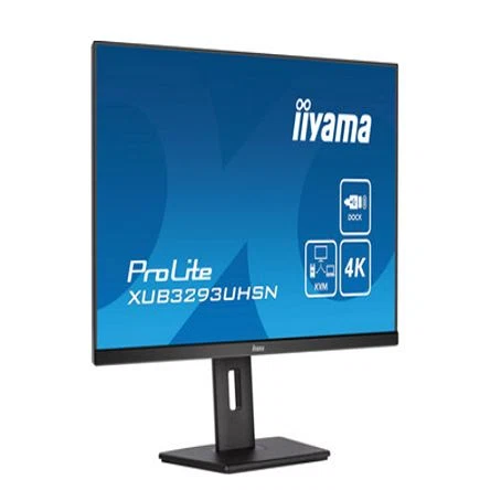 XUB3293UHSN-B5 iiyama