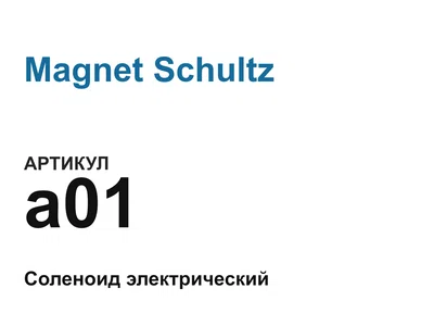 a01 Magnet Schultz