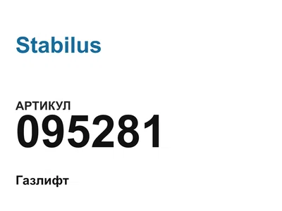 095281 Stabilus