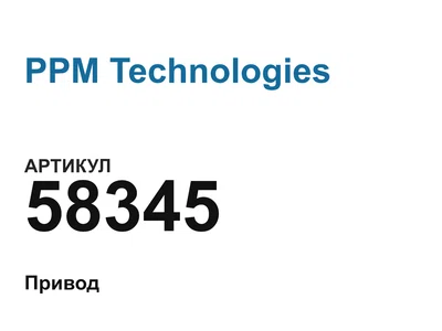 58345 PPM Technologies