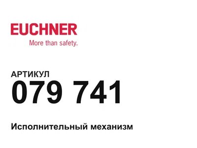 079741 Euchner