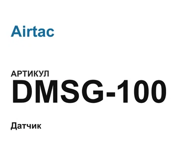 DMSG100 Airtac