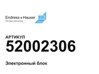 52002306 Endress+Hauser