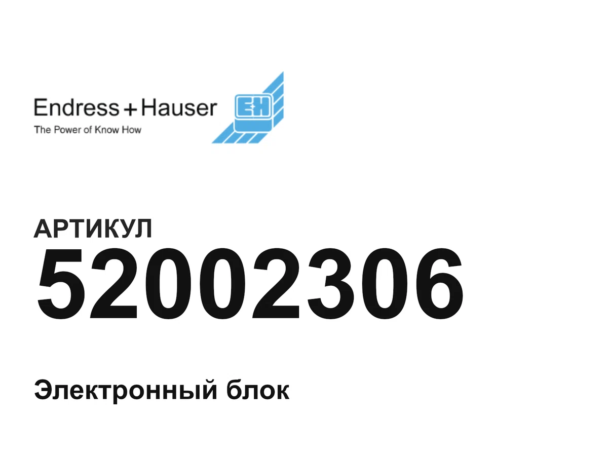 52002306 Endress+Hauser