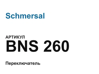 BNS260 Schmersal