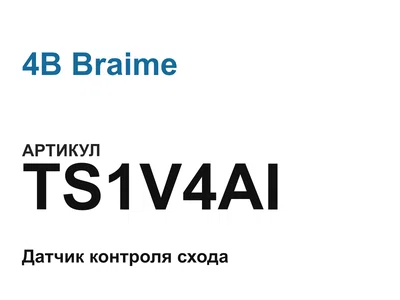 TS1V4AI 4B Braime